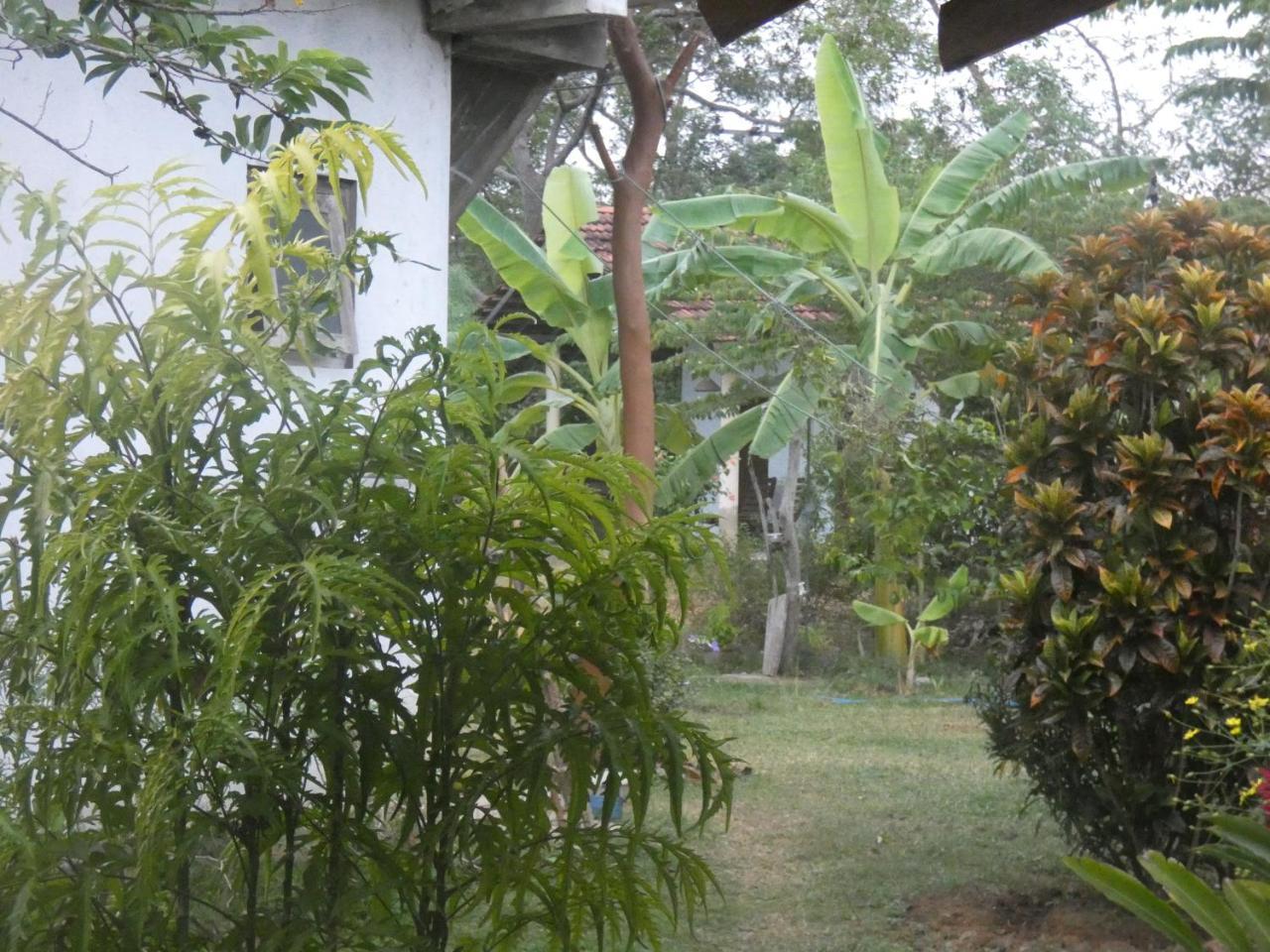 Apartamento Sunshine Cafe Tangalle Exterior foto
