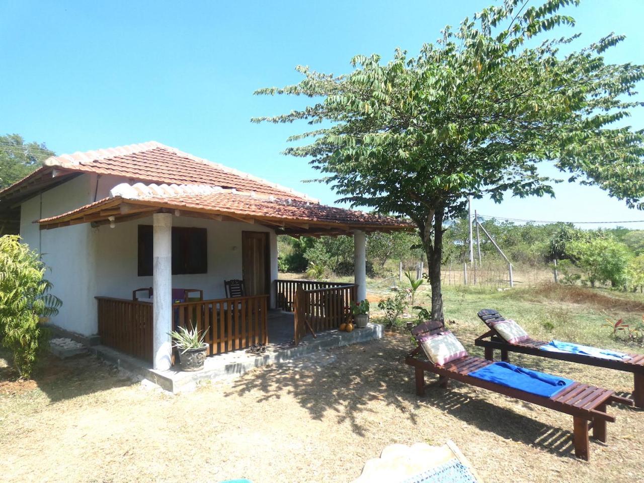 Apartamento Sunshine Cafe Tangalle Exterior foto